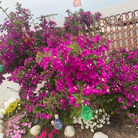 Maison Armandi Montemarciano Dış mekan fotoğraf