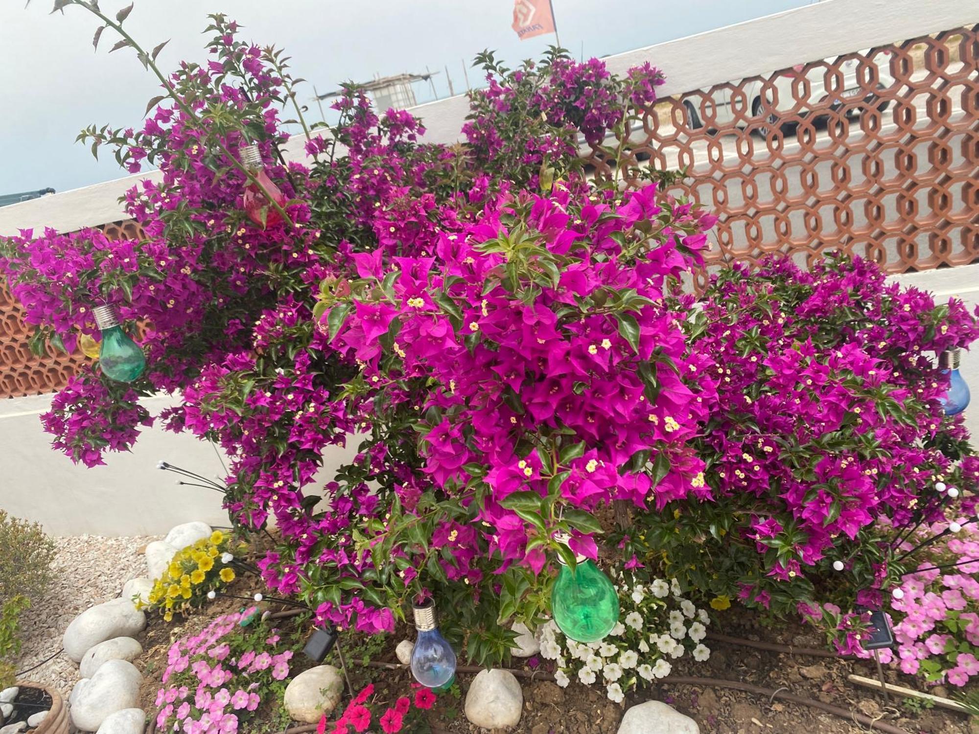 Maison Armandi Montemarciano Dış mekan fotoğraf